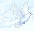 Dove's Avatar